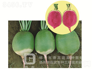 �������}��-�t��ٝ-�}���N��-�¸߷N�I(y��)