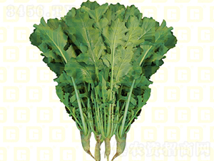 �~���}��-�¸�R460-�}���N��-�¸߷N�I(y��)