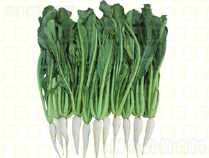 �~���}��-�¸�RS23-�}���N��-�¸߷N�I(y��)