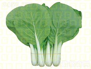 �~ɫ�^�G���-�¸߰׺�����-��˷N��-�¸߷N�I(y��)