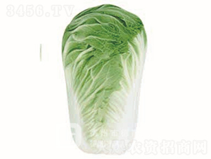 �＾�ײ�-�¸�8̖(h��o)-��ײ˷N��-�¸߷N�I(y��)