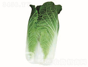 �����[���ײ�-CR117-��ײ˷N��-�¸߷N�I(y��)