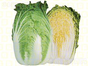 �����[���ײ�-�¸�CR999-��ײ˷N��-�¸߷N�I(y��)