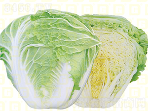 ������ײ�-�¸�VR�а�-��ײ˷N��-�¸߷N�I(y��)