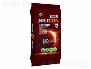 �����ЙC(j��)����-����-�����ʘI(y��)