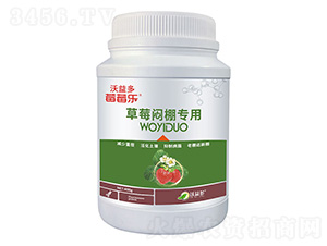 草莓悶棚專(zhuān)用微量元素水溶肥料-莓莓樂(lè)-沃益多