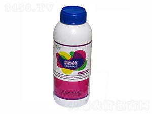 ���׸�����~���-ʩ���a-ïʩ����