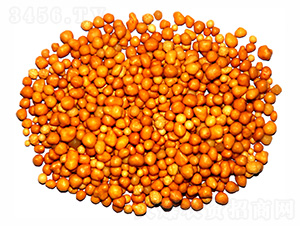 ����n�w����ጷ�15-7-13-ïʩ����