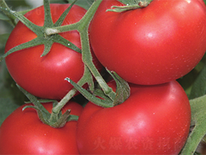 �_��-���ѷN��-����