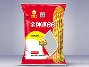 金種源66-玉米種子-金種源