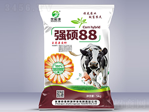 強碩88-玉米種子-金種源