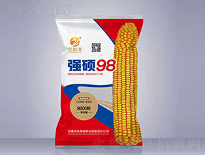強(qiáng)碩98-玉米種子-金種源
