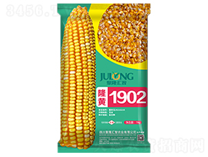 隆黃1902-玉米種子-聚隆匯智