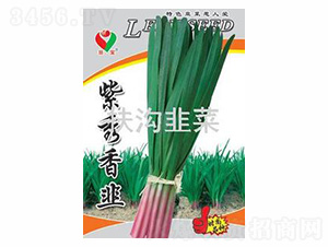 �������-��(y��u)�N�I(y��)