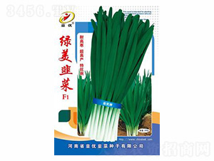 �G���²�F1-��(y��u)�N�I(y��)