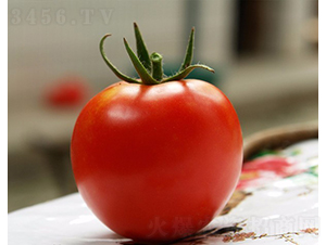 CNUS091F1-�������L(zh��ng)���ѷN��-�A���N��