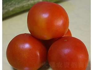 CNUS05F1-�������L(zh��ng)���ѷN��-�A���N��