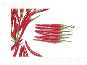 ���3̖-�����N��-�c�l(f��)��ʢ