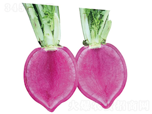 �ϵ�-�}���N��-�c�l(f��)��ʢ