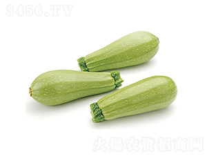 С�`-�����J�N��-�c�l(f��)��ʢ