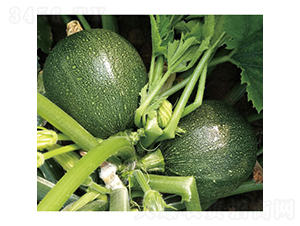 ī��-�����J�N��-�c�l(f��)��ʢ