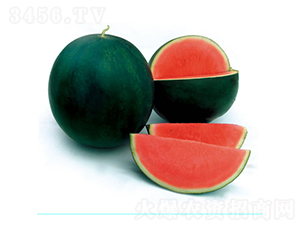 ��ö�o��1̖-���ϷN��-�c�l(f��)��ʢ