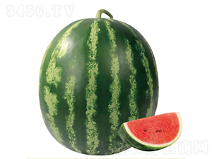 ����2̖-���ϷN��-�c�l(f��)��ʢ