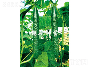 ����707-�S�ϷN��-���зN��