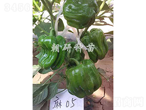 ������05-�����N��-���зN��