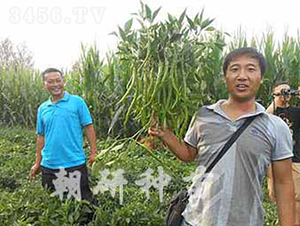 ��818-�����N��-���зN��