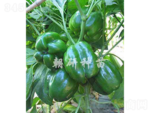 ��85-10-�𽷷N��-���зN��