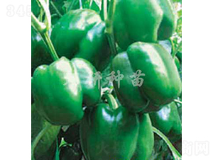 ��16̖(h��o)-�𽷷N��-���зN��