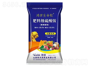 �S�����ͷ��ϼ�(j��)�����@-����������-���S��ʘI(y��)