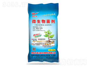 ΢�������-�G�֞�-���ּ�