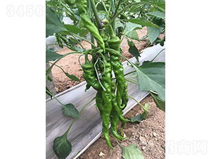 ����179-�����N��-���շN��