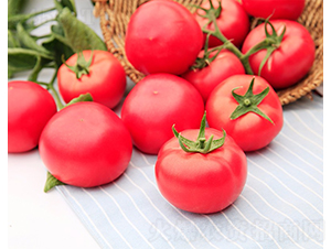 ��Ş-���ѷN��-���շN��