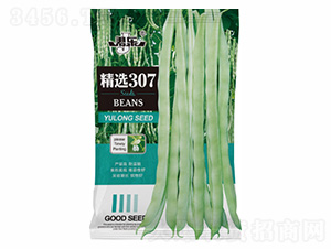 精選307-諾易達(dá)