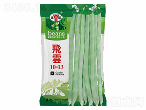 飛雲(yún)10-13-諾易達(dá)