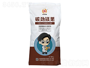 ΢�������-̼���V��-�����ʘI(y��)