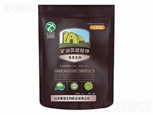 �VԴ�S�����-��������