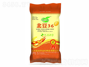 北豆36-金杉種業(yè)