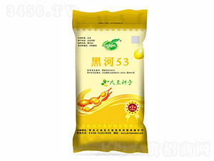 黑河53-金杉種業(yè)