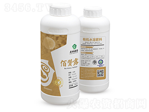 ��ˎ���I�B(y��ng)��-��ٝ¶-���ƈ@ˇ