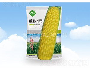 ����һ̖-�Ƙ��N�I(y��)