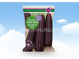 ����Ŵ8̖-�Ƙ��N�I(y��)