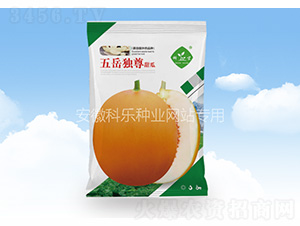 ��������-�Ƙ��N�I(y��)