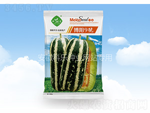 ���9̖-�Ƙ��N�I(y��)