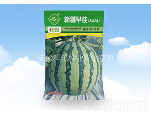 �½����8424-�Ƙ��N�I(y��)