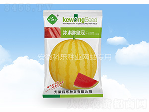 ����ܻʹ�-�Ƙ��N�I(y��)