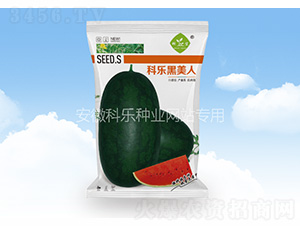 �Ƙ�������-�Ƙ��N�I(y��)